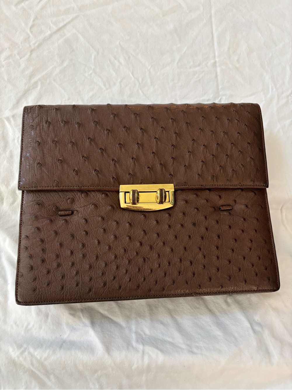 Vintage Corbeau Ostrich Leather Bag with Gold-Tone Lock